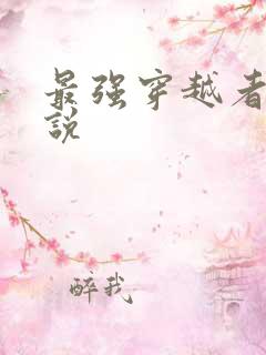 最强穿越者 小说