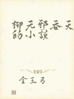 柳元邪吞天神鼎的小说