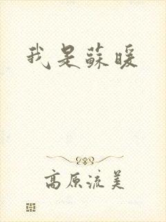 我是苏暖