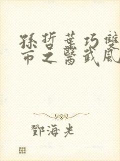 孙哲叶巧双修都市之医武风流