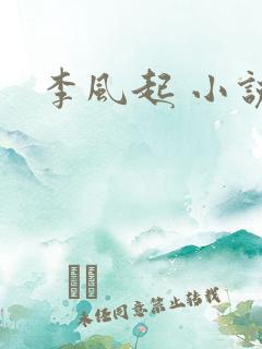 李风起 小说