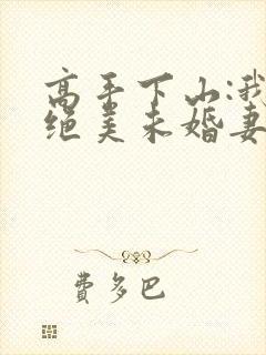 高手下山:我的绝美未婚妻小说看