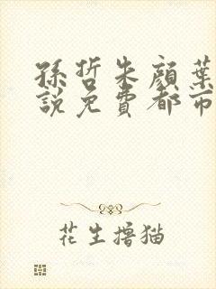 孙哲朱颜叶巧小说免费都市之医武风流