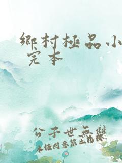 乡村极品小神医 完本