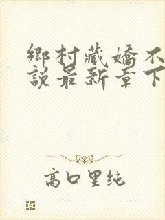 乡村藏娇不良小说最新章下载