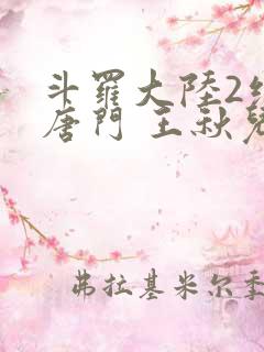 斗罗大陆2绝世唐门 王秋儿