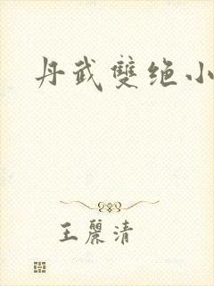 丹武双绝小说