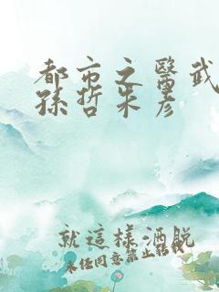 都市之医武风流孙哲朱彦