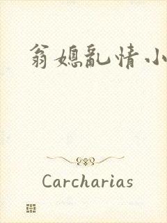 翁媳乱情小说解