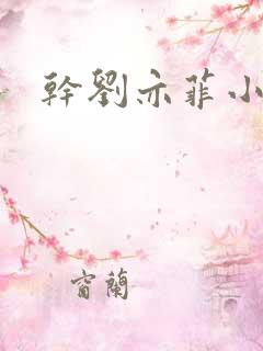 干刘亦菲小说