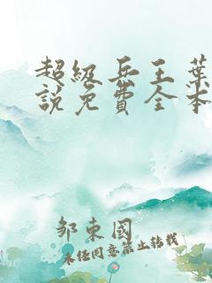 超级兵王叶谦小说免费全本阅读