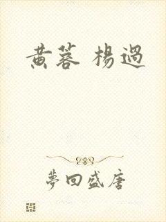 黄蓉 杨过
