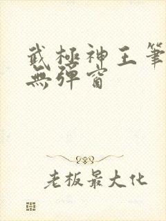 武极神王笔趣阁无弹窗