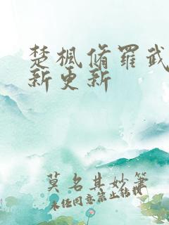 楚枫修罗武神最新更新