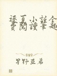 逐夏小说全文免费阅读笔趣阁无弹窗
