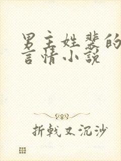 男主姓裴的现代言情小说