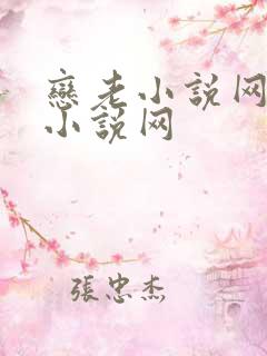恋老小说网言情小说网