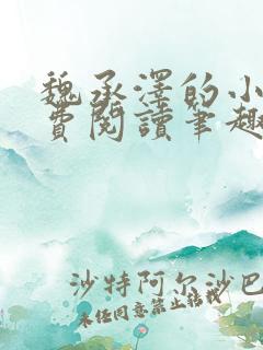魏承泽的小说免费阅读笔趣阁
