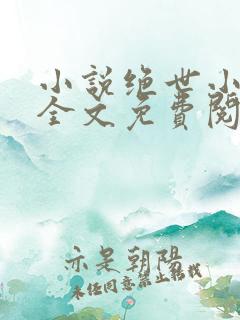 小说绝世小医仙全文免费阅读