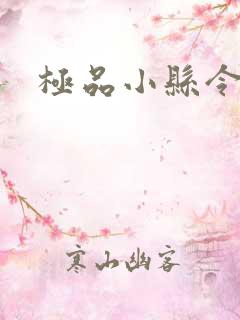 极品小县令游戏