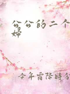 公公的二个儿媳妇