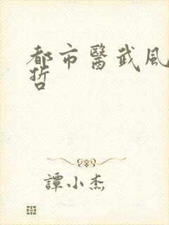 都市医武风流孙哲