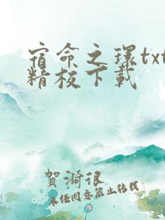 宿命之环txt精校下载