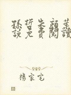 孙哲朱颜叶巧小说免费阅读笔趣阁