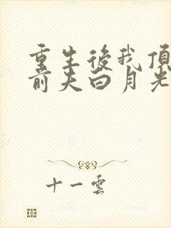 重生后我顶替了前夫白月光有声书
