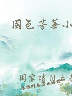 国色芳华小说