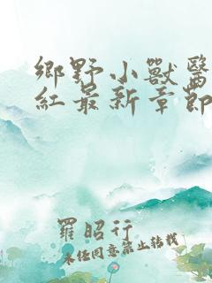 乡野小兽医吴小红最新章节在线阅读