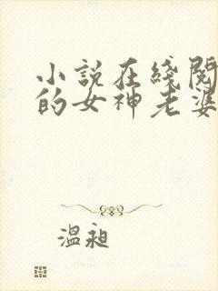小说在线阅读我的女神老婆