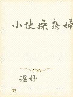 小伙操熟妇小说