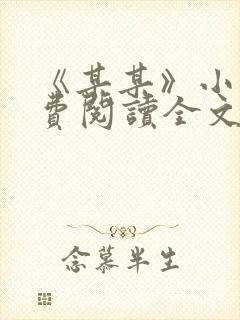 《某某》小说免费阅读全文