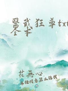 医武狂尊txt全本