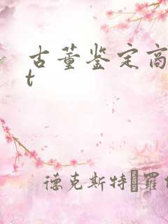 古董鉴定商txt
