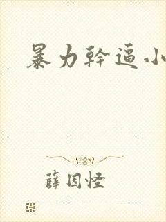 暴力干逼小说