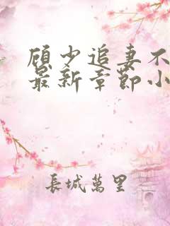 顾少追妻不要脸最新章节小说免费阅读