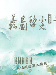 善良的小峓子2韩剧中文