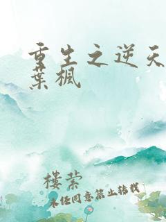 重生之逆天狂少叶枫