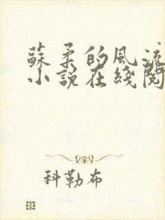 苏柔的风流人生小说在线阅读全文免费