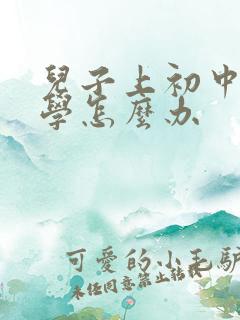 儿子上初中了厌学怎么办