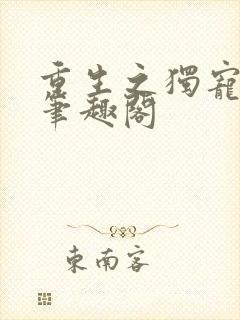 重生之独宠无二笔趣阁