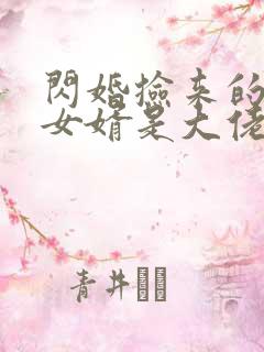 闪婚捡来的上门女婿是大佬短剧免费观看