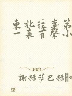 东北往事第2部一来有声小说