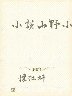 小说山野小医仙