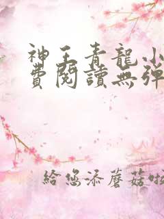 神王青龙小说免费阅读无弹窗
