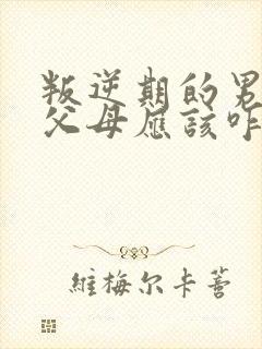 叛逆期的男孩打父母应该咋办