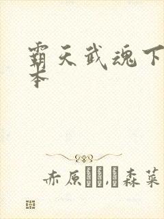 霸天武魂下载全本