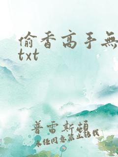 偷香高手无删减txt